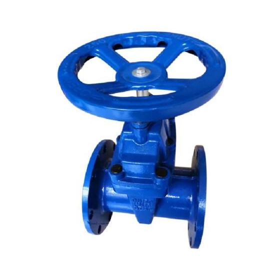 Veerkrachtige Seat Gate Valve